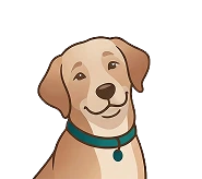 Avatar do Ninu, assistente virtual da Coninuo